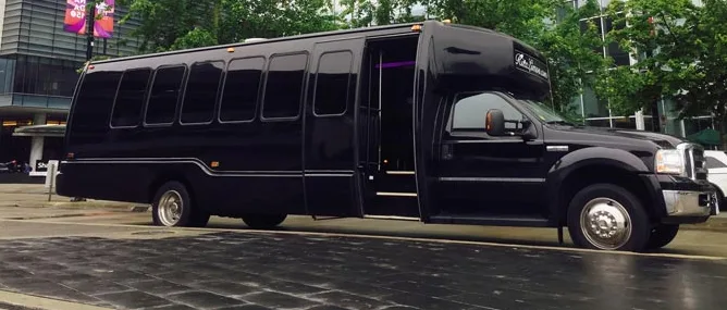 18 Passenger Mini Coach Bus