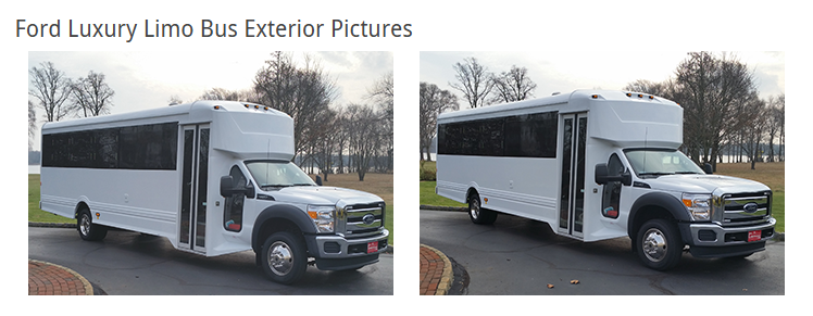 36–38 Passenger Party Bus