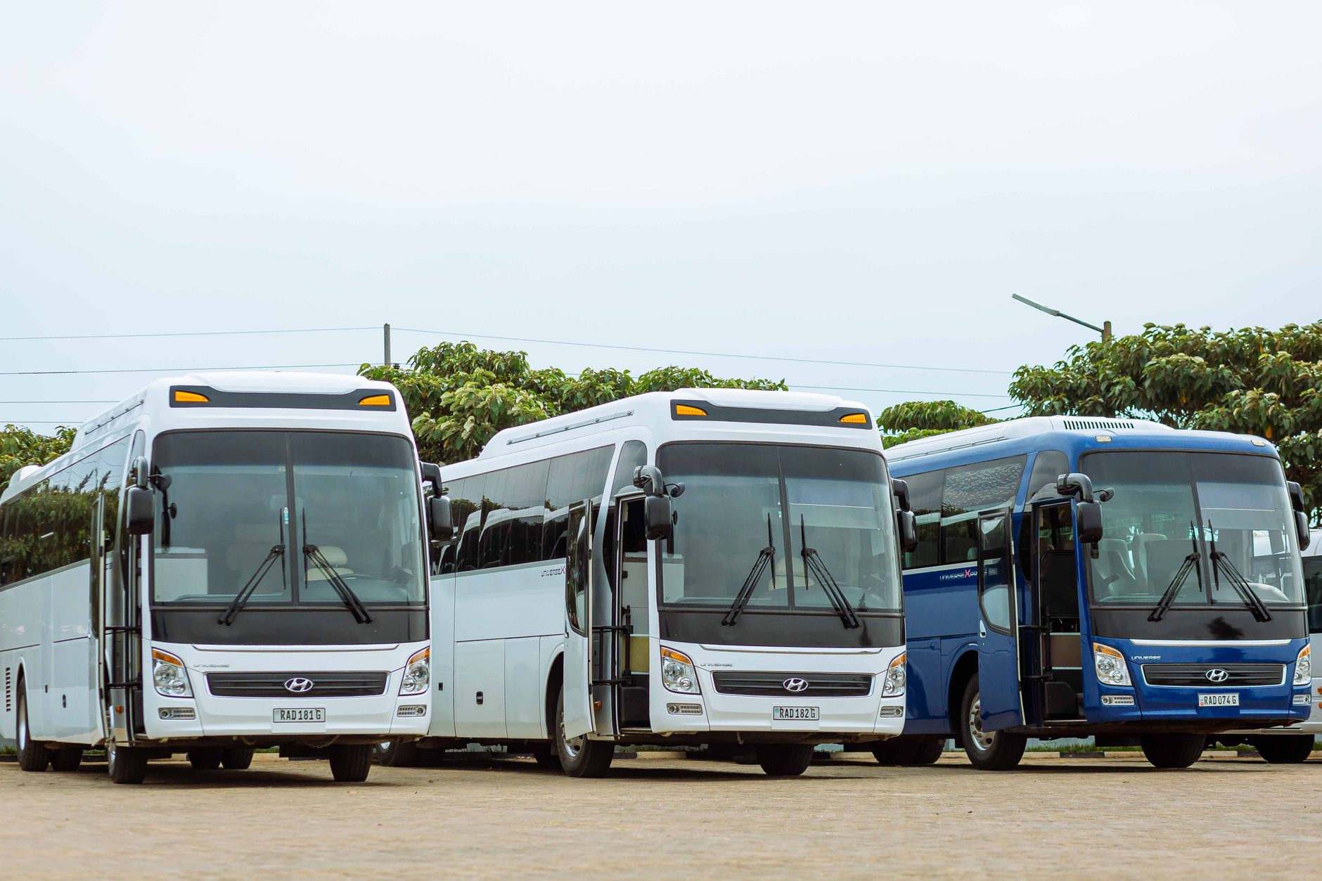 Baltimore Trips fleet check on the morning of a Ravens home game — chauffeurs prepping party buses in the yard
