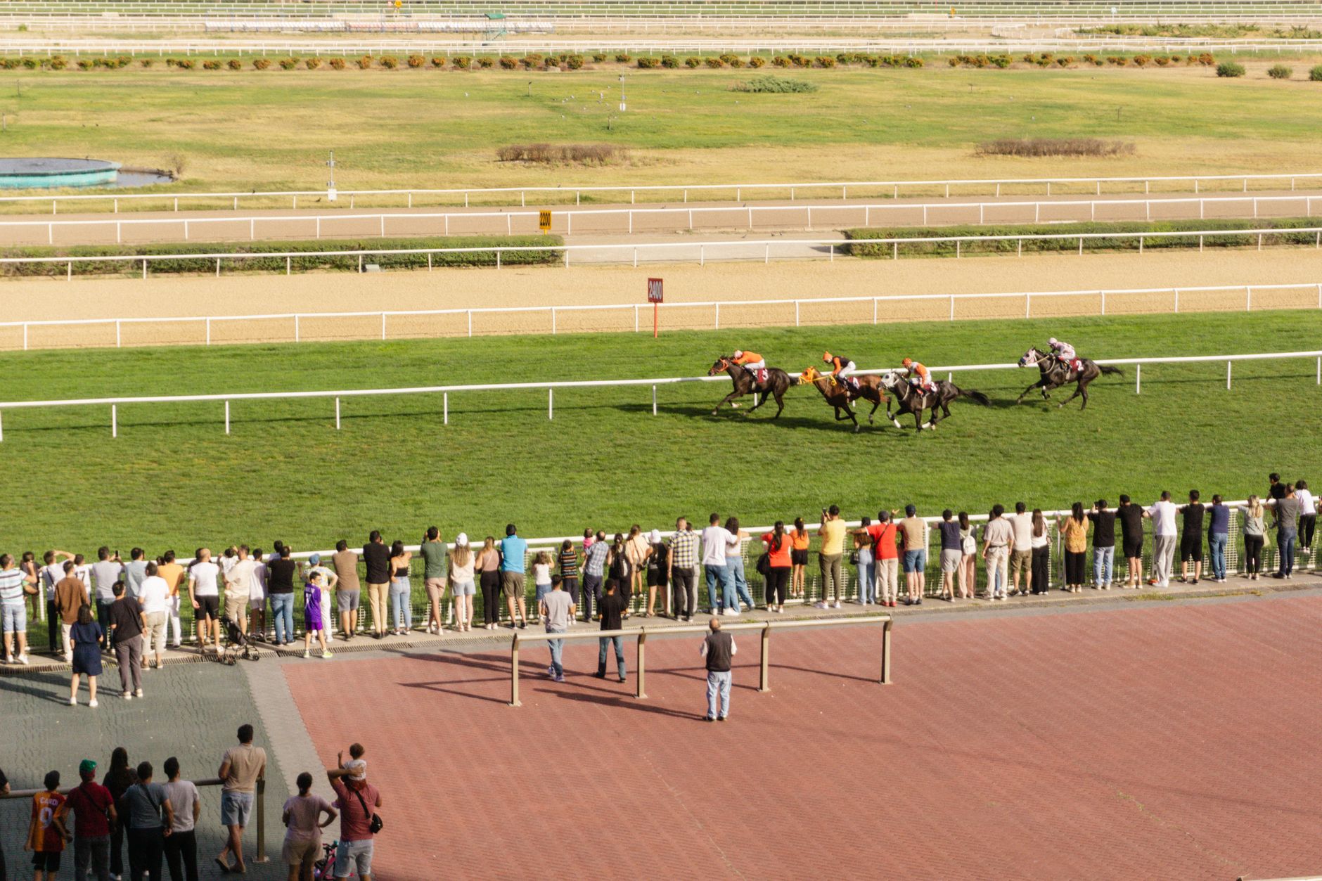 Preakness Stakes 2027 Charter Bus & Group Transportation