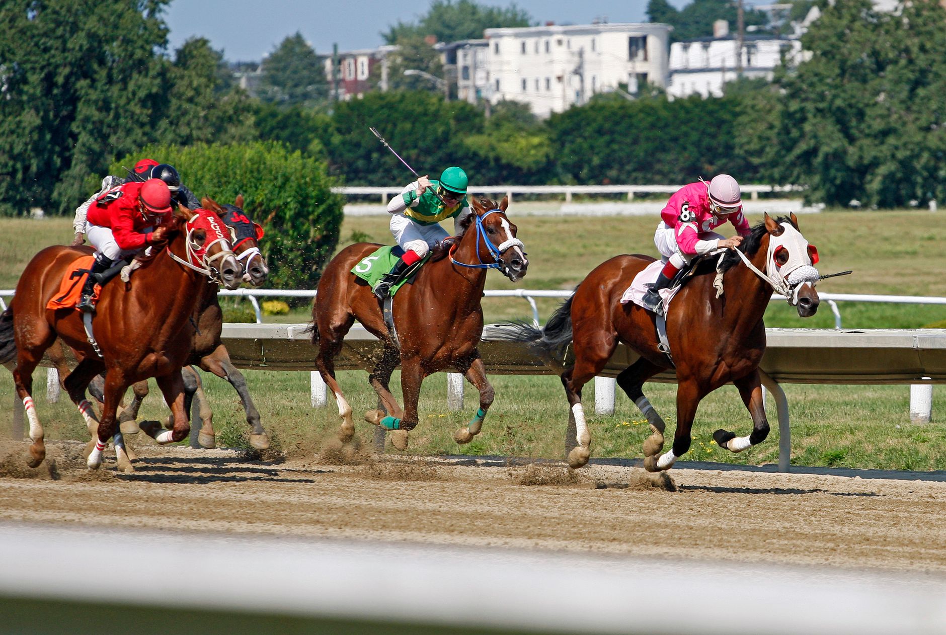 Pimlico Race Course Charter Bus & Corporate Race-Day Transportation