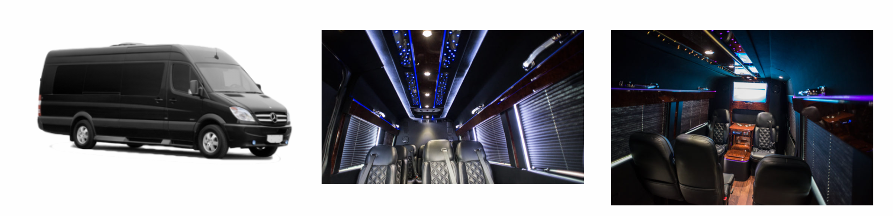 Sprinter vans (10–14 passengers)